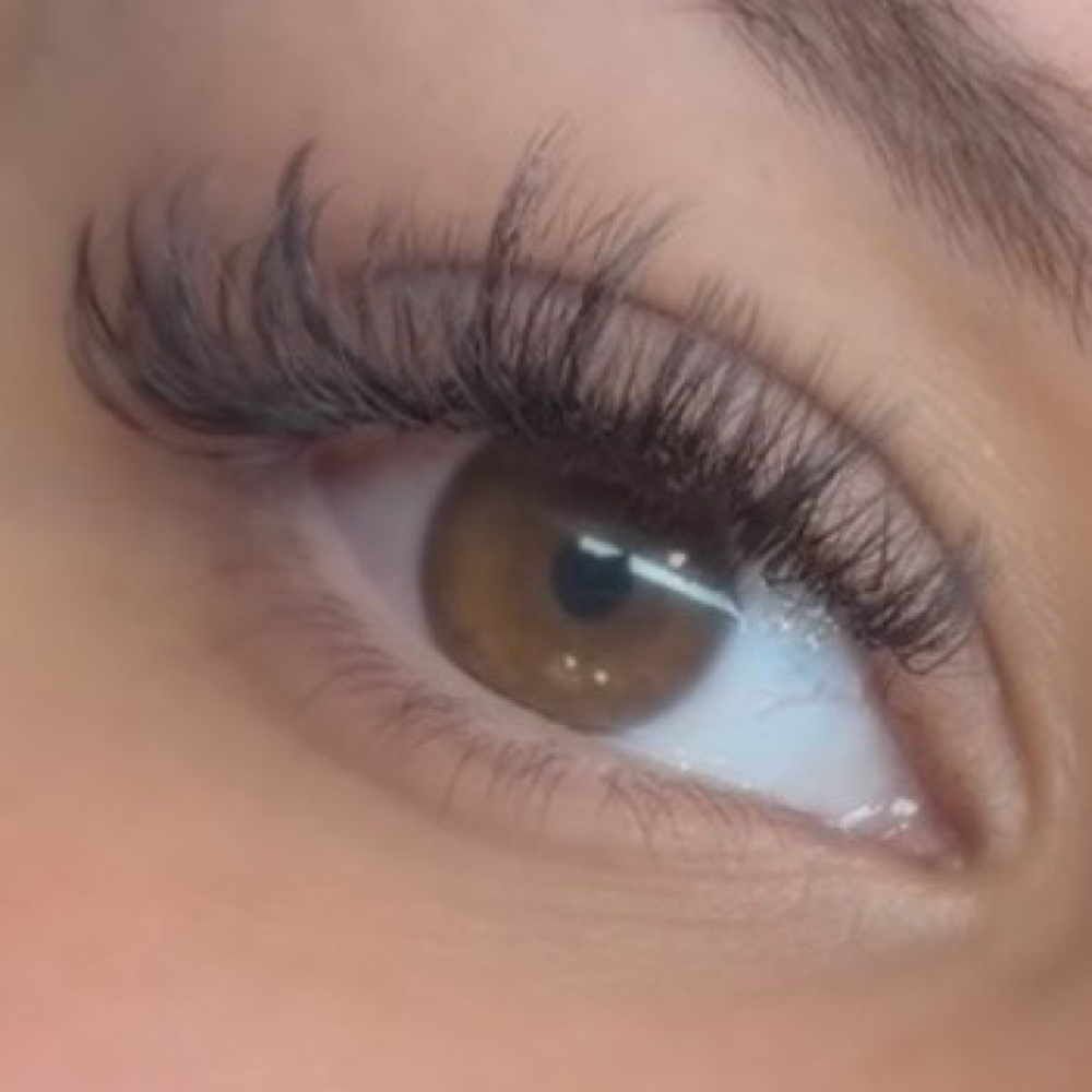 Light/ Natural Custom Full Lash Set at Beautee Hive in Bayonne, NJ