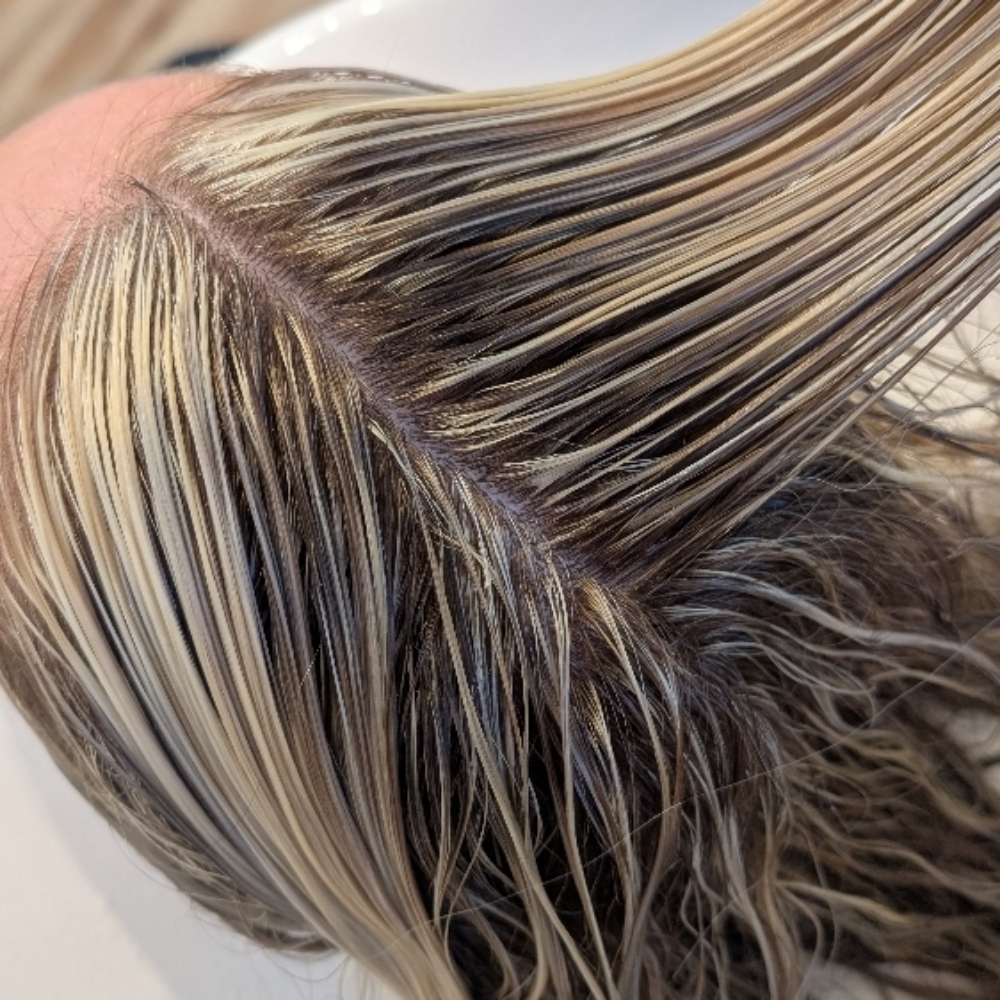 Gloss/Toner at The Eagles Nest Salon & Spa in Eagle Point, OR