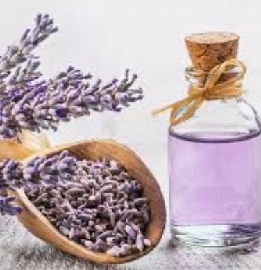 Lavender Scalp Massage