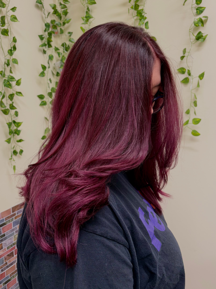 Blow Dry/Style at To Dye For in Greensboro, NC