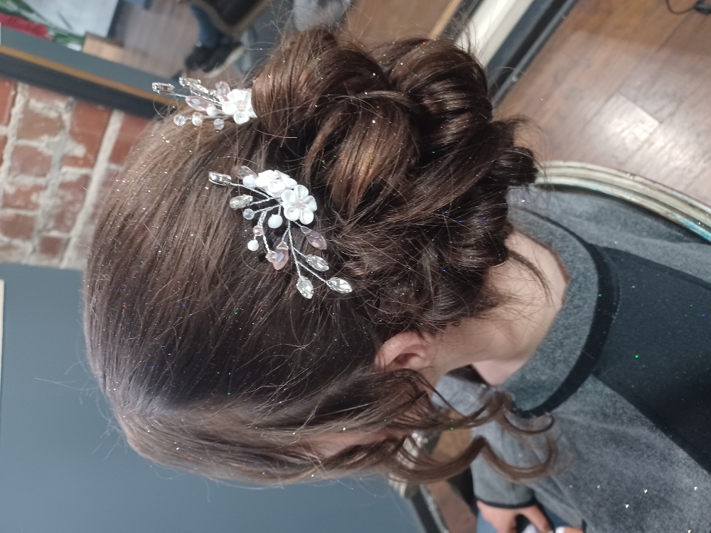 Special Occasion UpDo