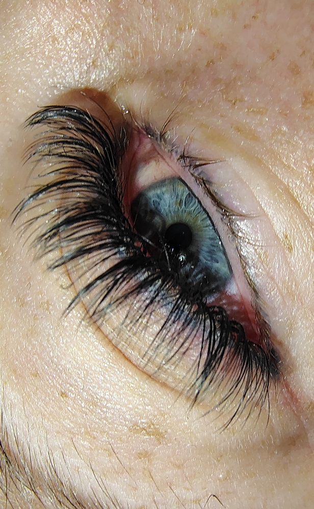 October/Nov Lash Special