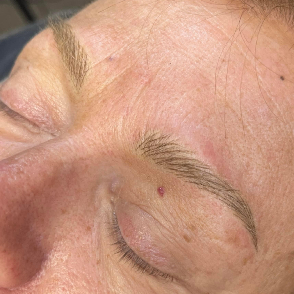 Hairstroke Brows at Permanent MakeUp Studio by Laura Valtere in Key west, FL