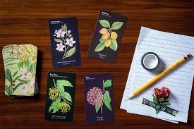 Tell Me What You See-Oracle Reading