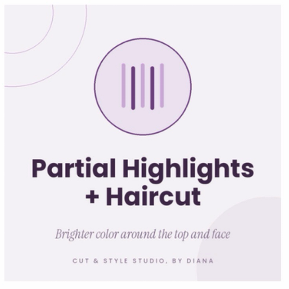 Partial Highlights + Haircut at Cut & Style Studio, by Diana in Wadsworth, IL