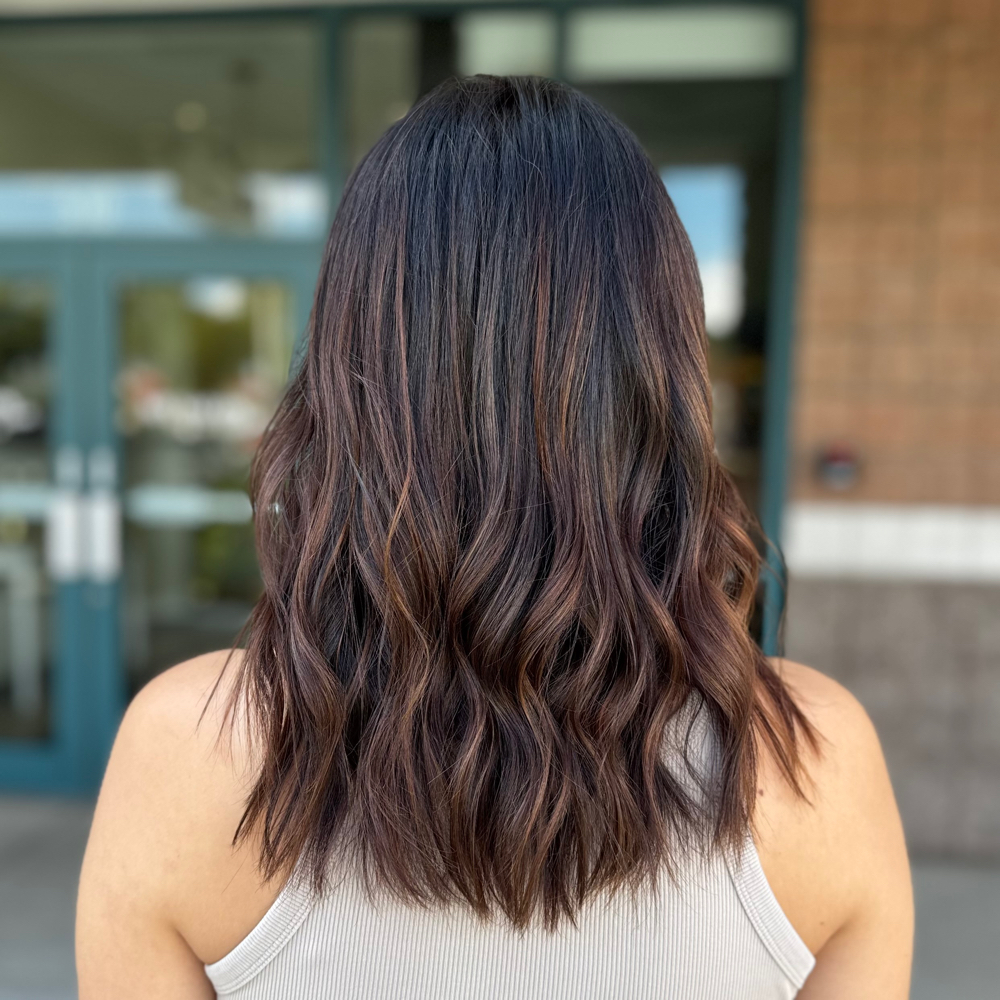 Partial Balayage (Top Area)