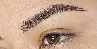 Perfecting Appt. (Nano Brow)