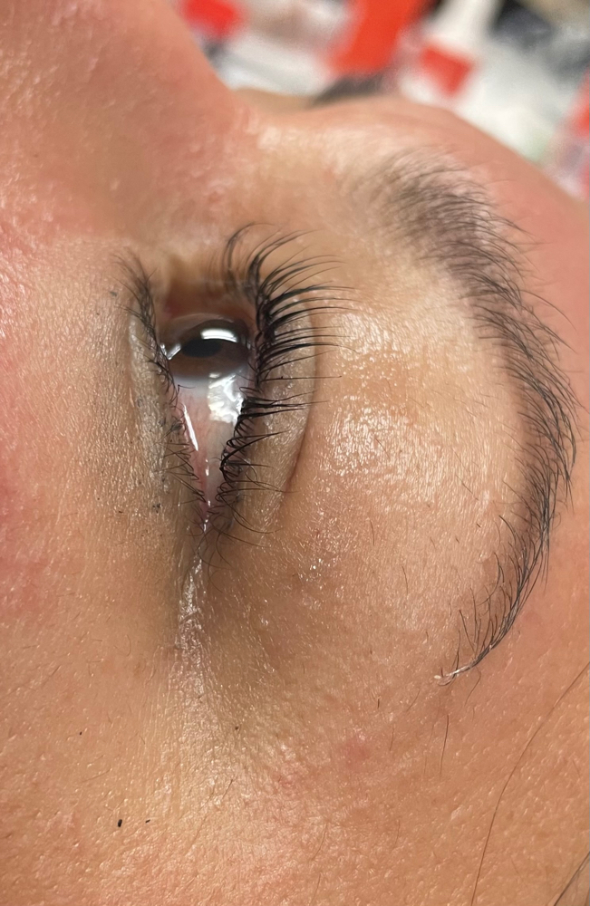 Lash Lift