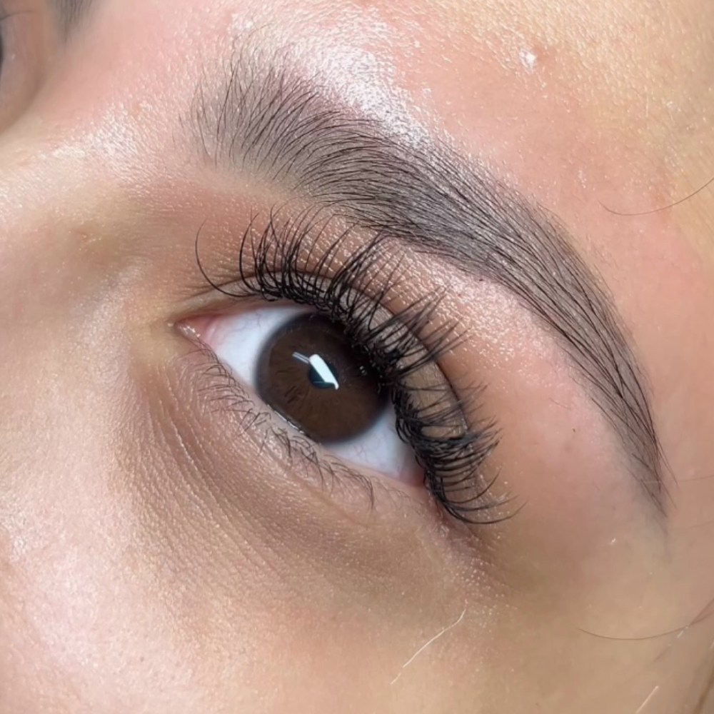 Classic Lashes