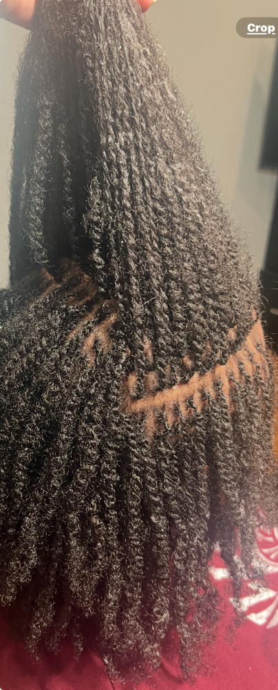 Temporary Micro Locs