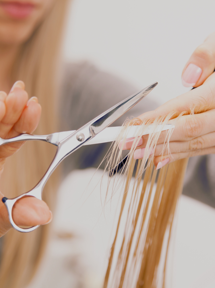 Womens Cuts