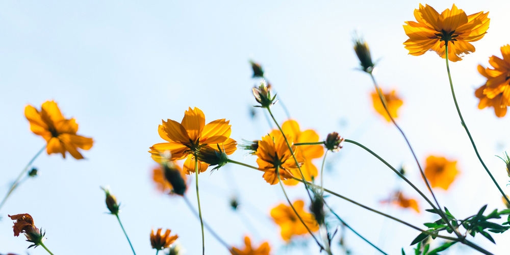 Spring Cleaning Bundle at Bewitched Esthetics by Alexa in Woodridge, IL