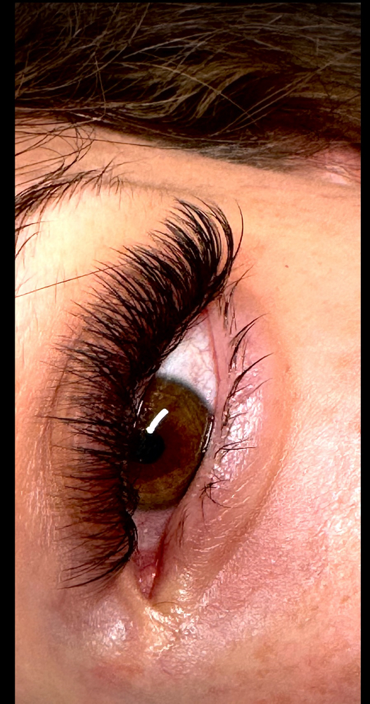 Hyrbid Lashes