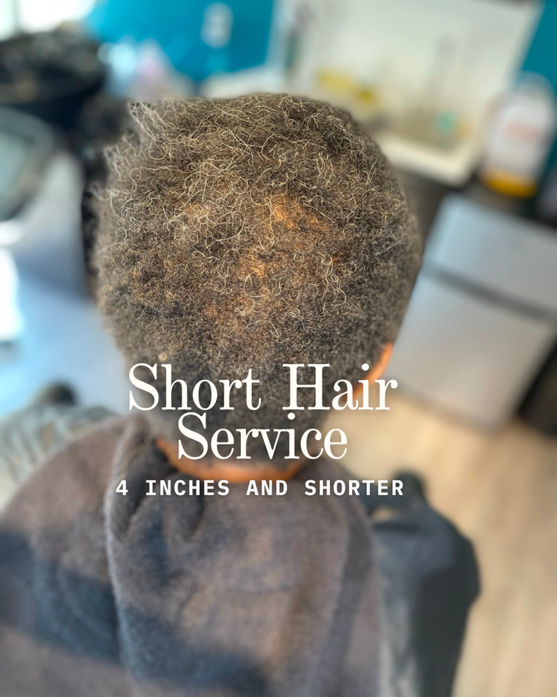 Micro Knotless Braids