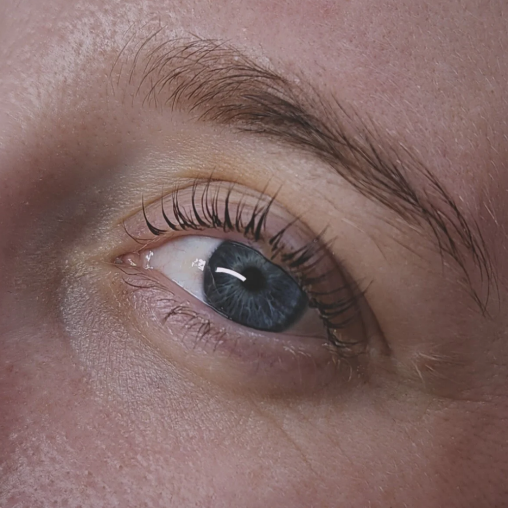 Lash Lift + Tint