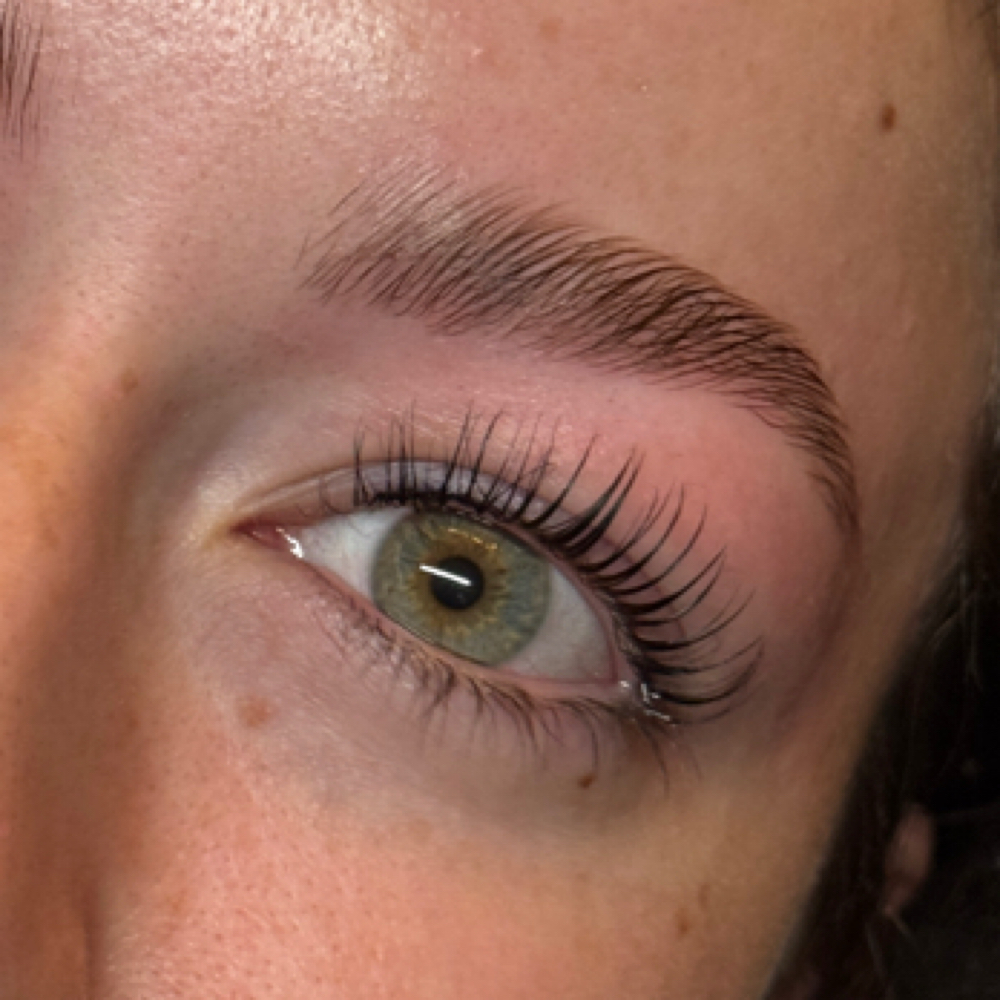 The Korean Lash & Brow Package at Skin Refinery in Ozark, MO