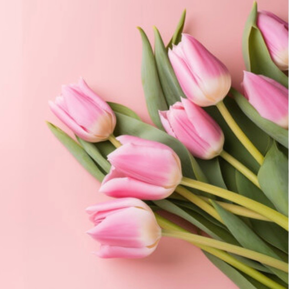 April Promotions at Piel Amor Skin Studio in Camarillo, CA