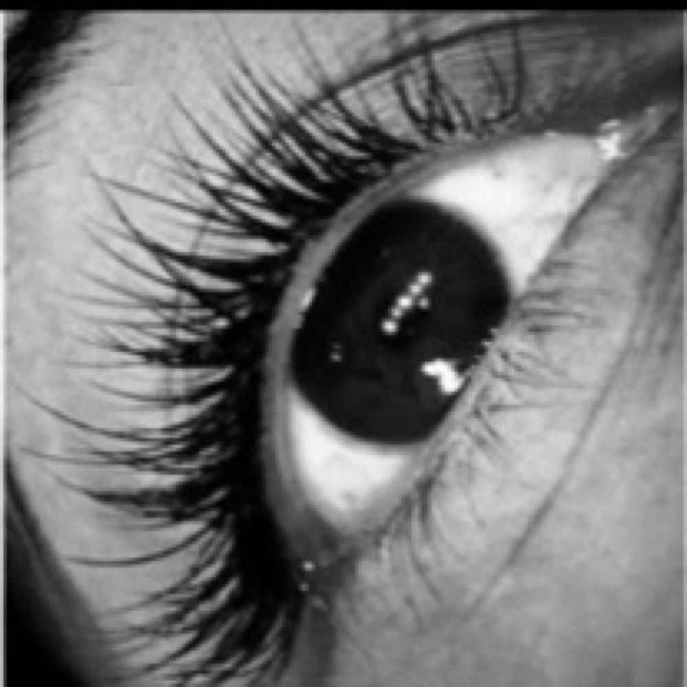 2 Week LASH FILL at Ten & Two Studios Nails & Lashes in Kansas City, MO