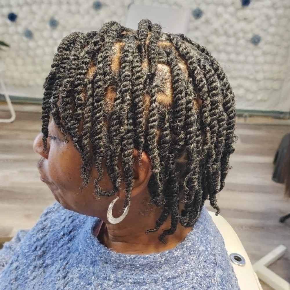 Natural Hair: 2 Strand Twist at The Braid Lounge in Burlington, NC