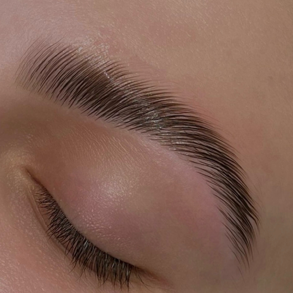 BROW LAMINATION + BROW WAX at Eye Blink Beautifully in Winter Park, FL
