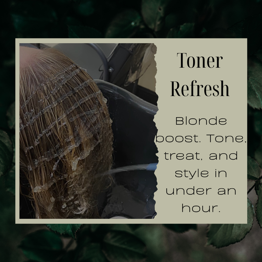 Toner Refresh Express Service