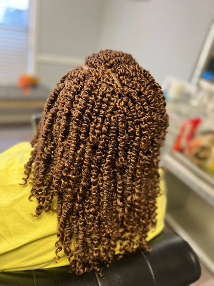 Crochet Braid/ Twist Styles