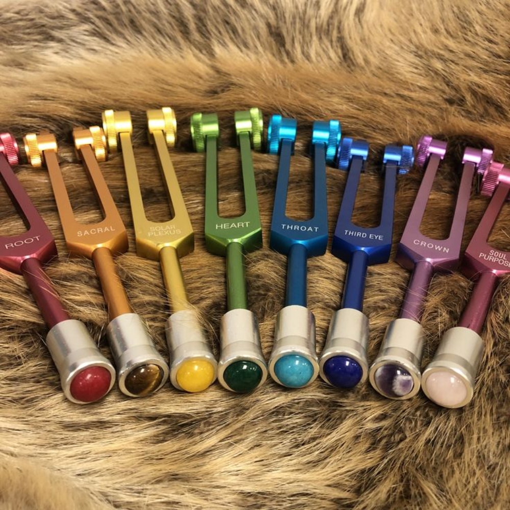 Trauma Informed Bodywork at WILD ONE MASSAGE LLC in Elizabethville, PA