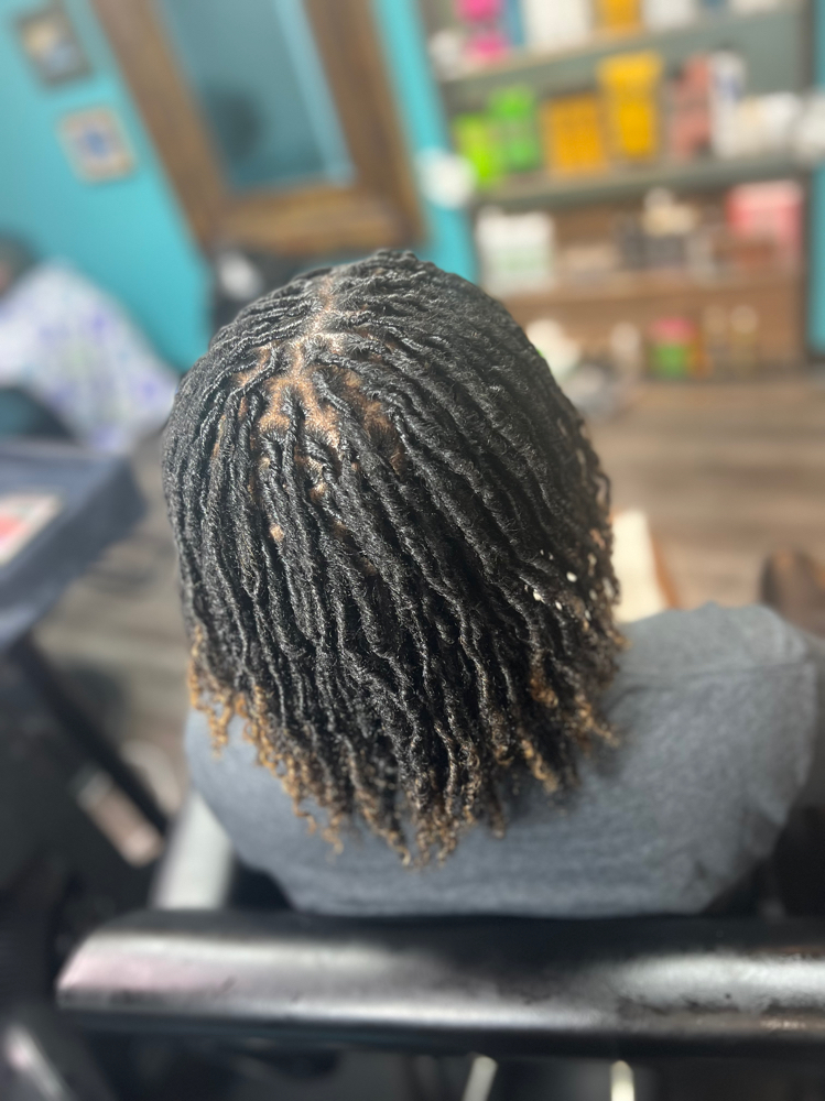 Classic Micro Loc Retwist