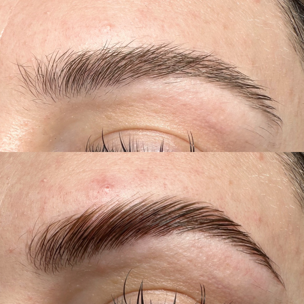 Brow Wax & Tint