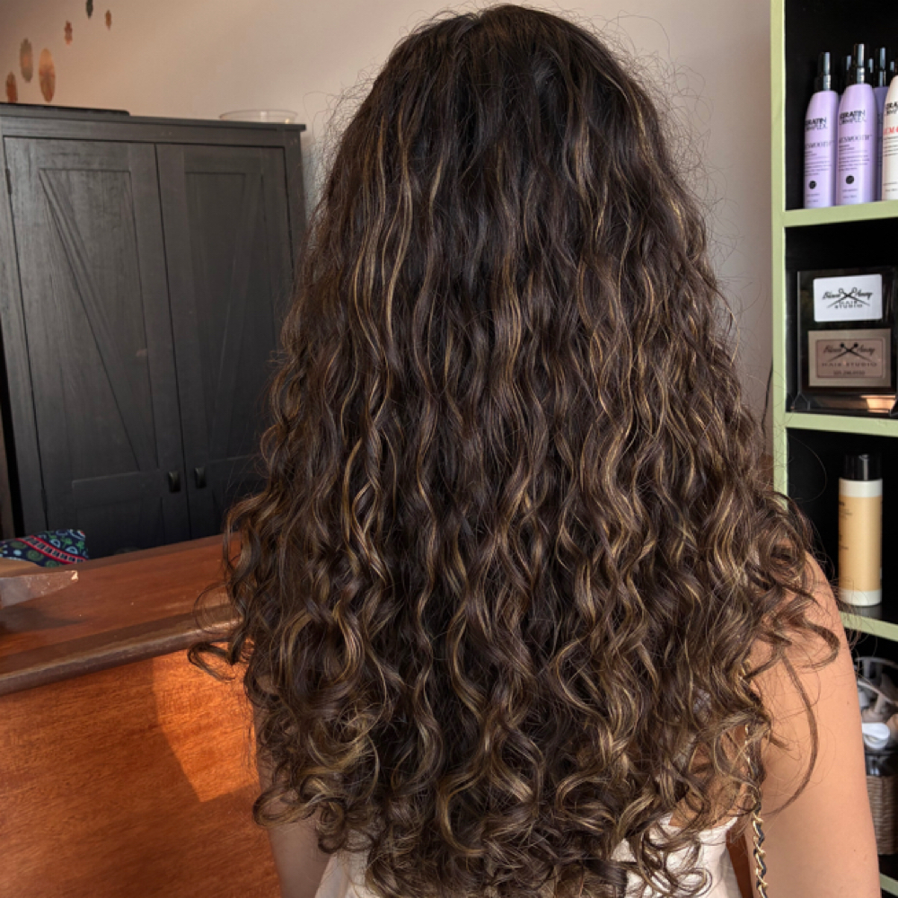 Curly Partial Highlight at Amya  Boose in Coral Springs, FL