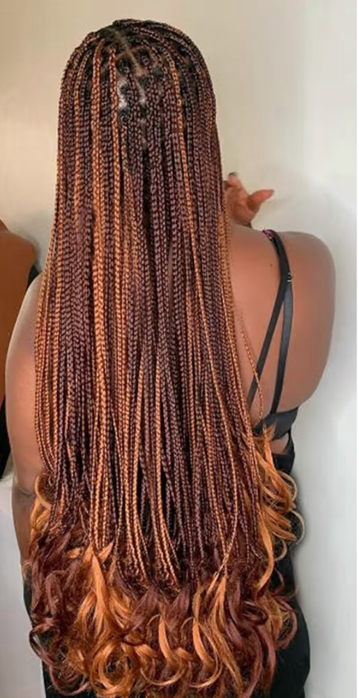 French Curl Braids Long