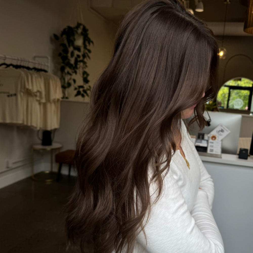 Gray Coverage + Haircut at .A. Blooming Beauty in Albany, NY