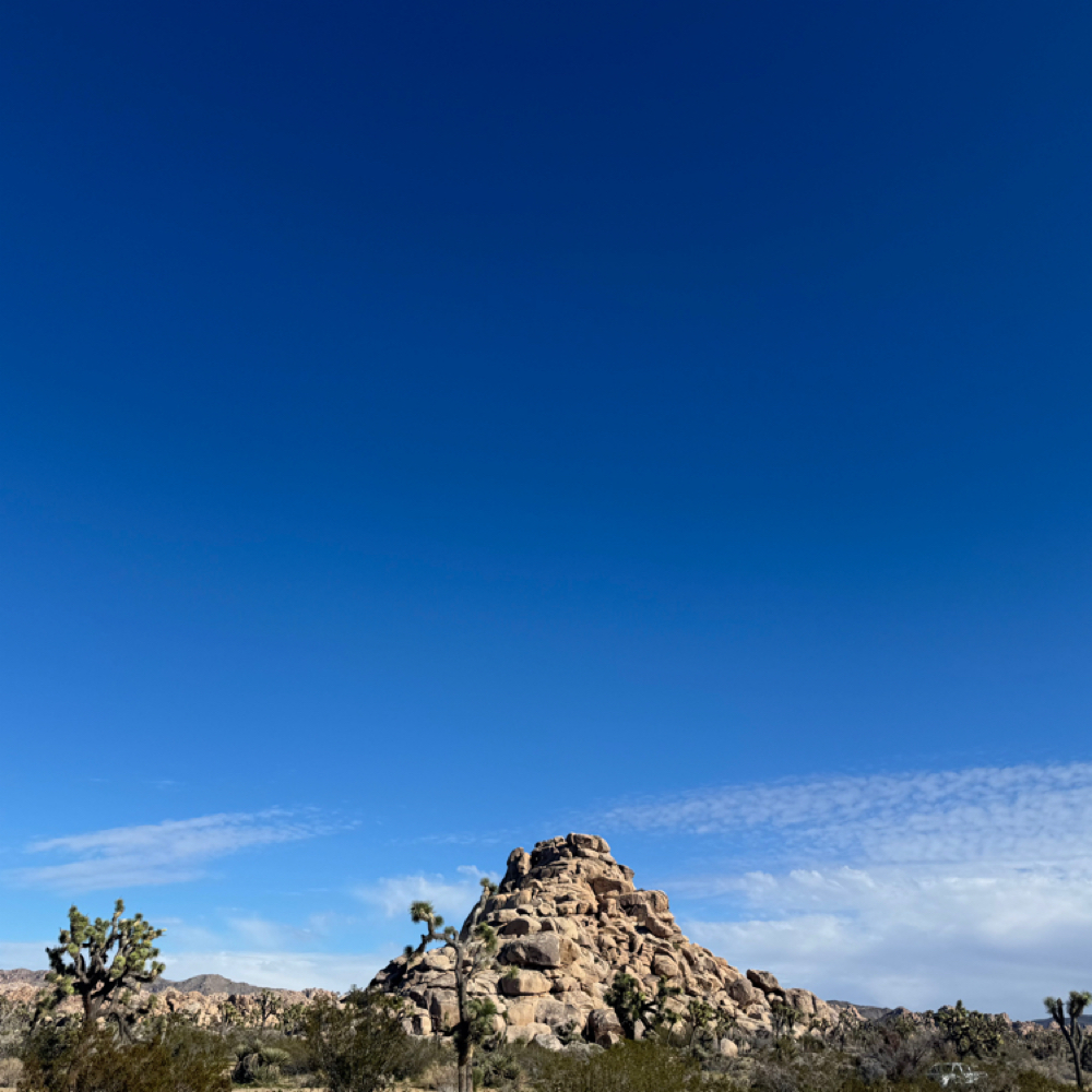 Color Melt at Indigo Salon @ Beaumont in Lexington, KY