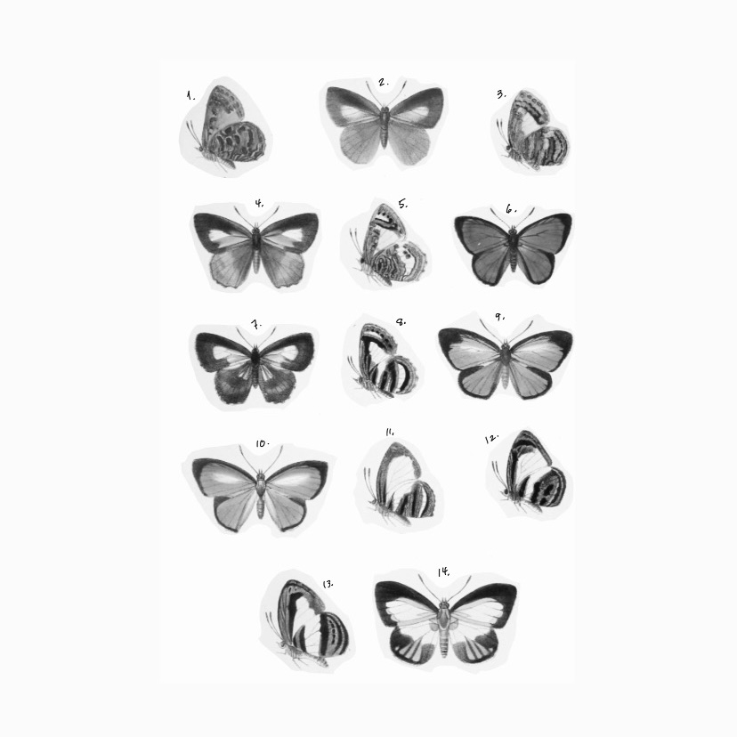 Repeatable Butterflies