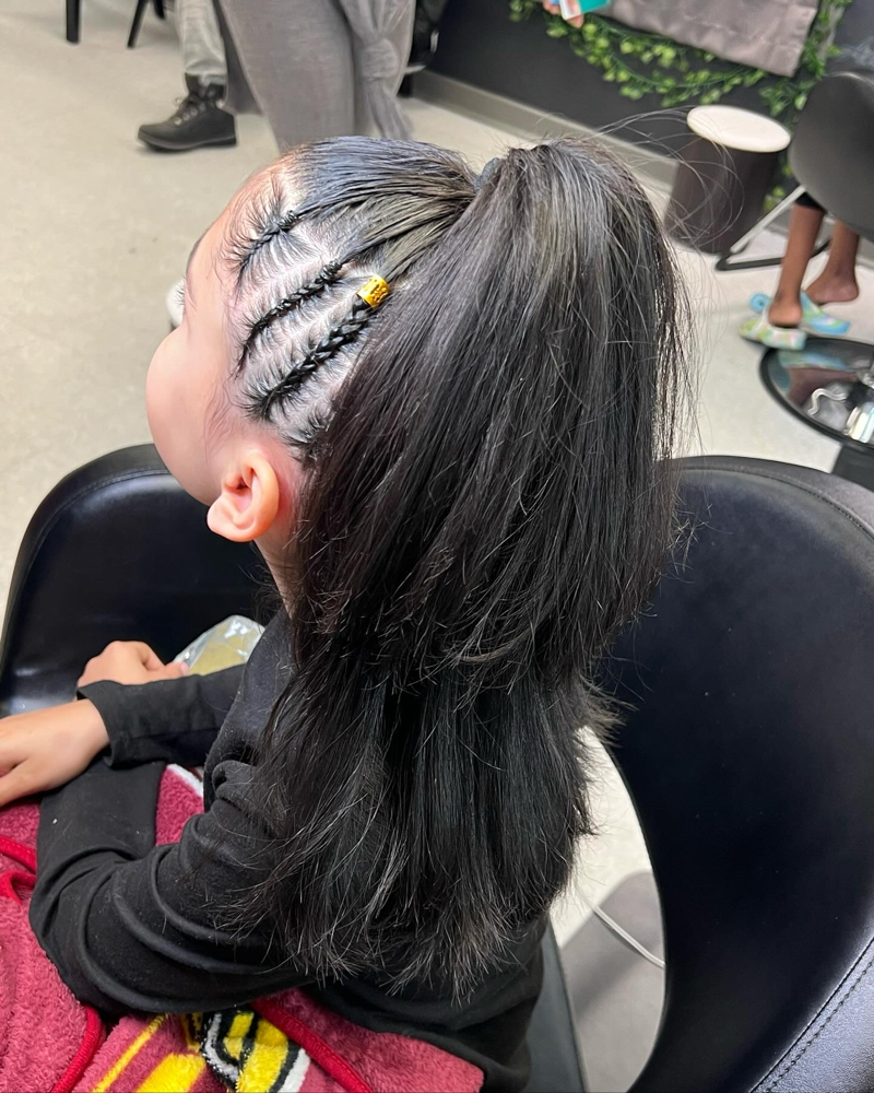 Partial Braids (Half Back)