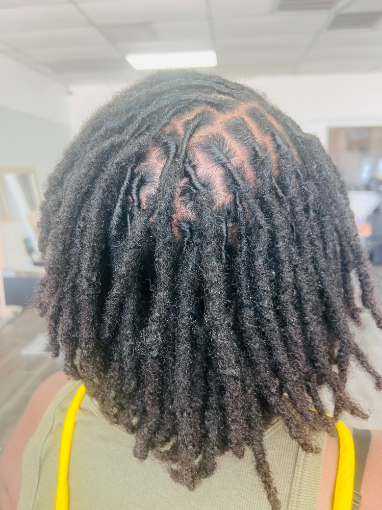 Loc Retwist