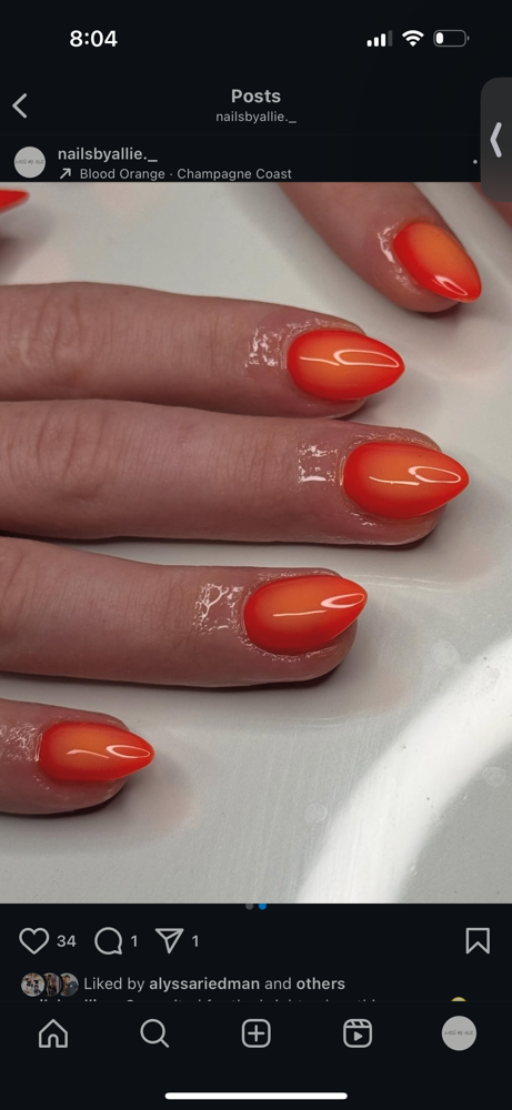 Airbrush Add On (All Nails)