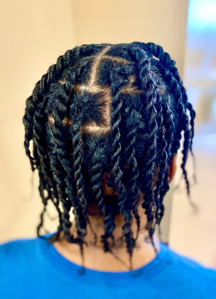 Two Strand Loc Twist