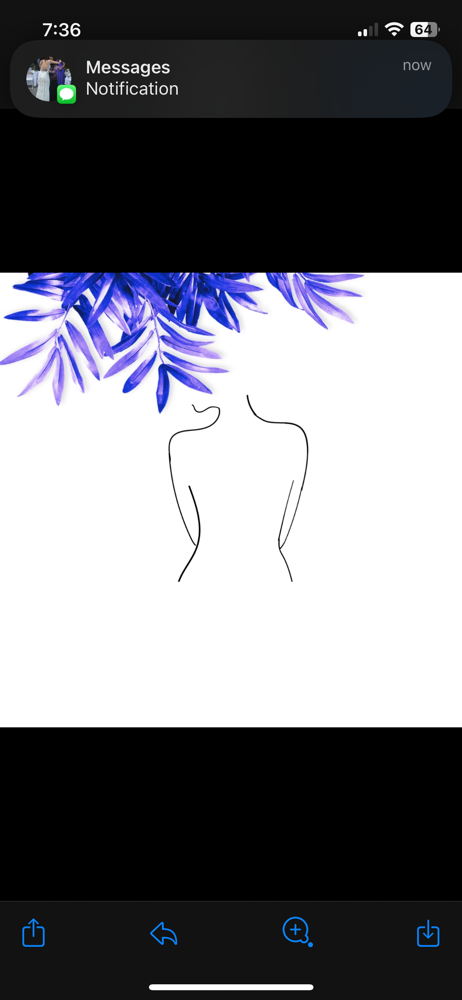 Back (full)