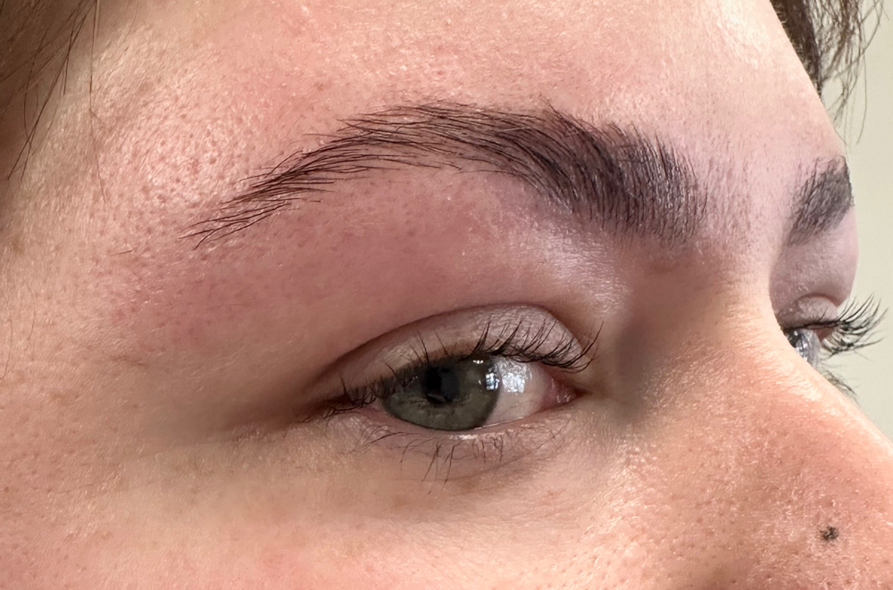 Eyebrow Lamination And Tint