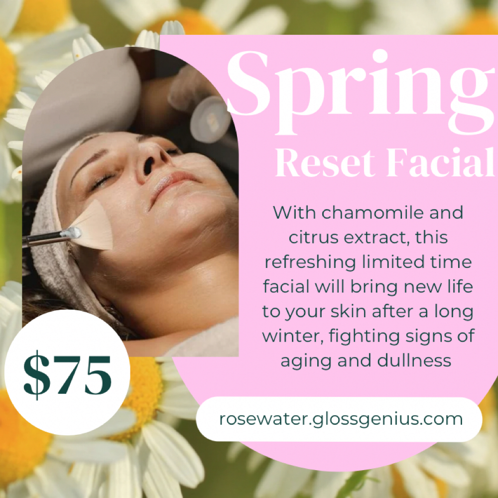 Spring Reset Facial at Rosewater Aesthetics in Charleston, WV