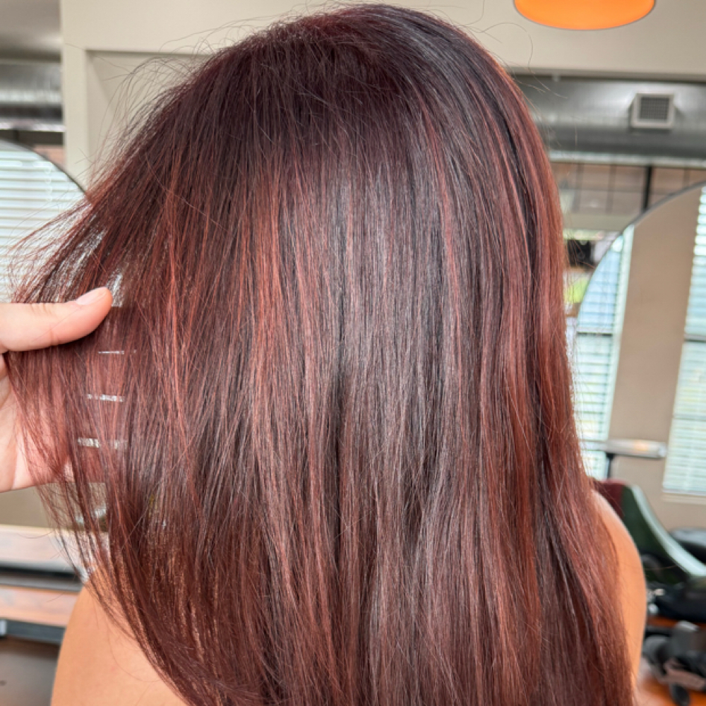 All Over Color at Wild Mane Beauty in Georgetown, TX