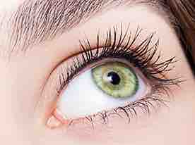 Eyeliner , (Eyelash enhancer) at MV Vital Permanet Makeup in Chino, CA