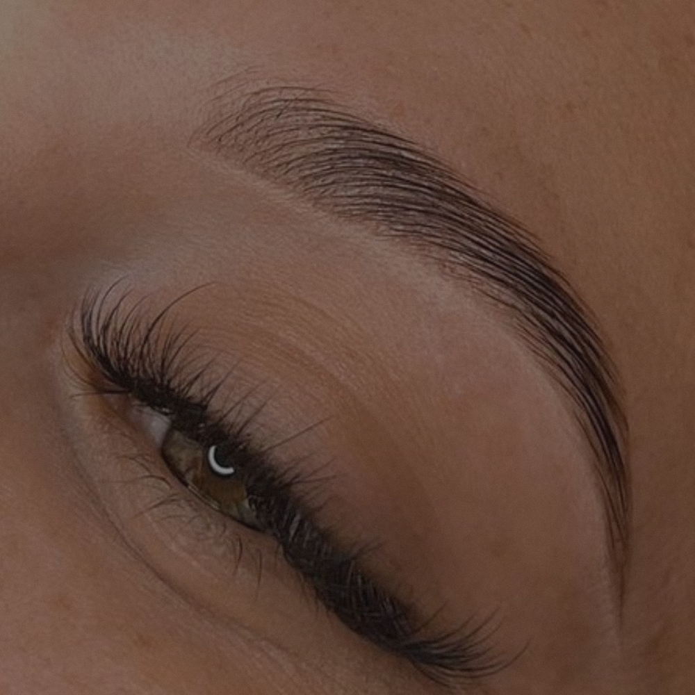 Brow Lamination + Wax + Tint ♡