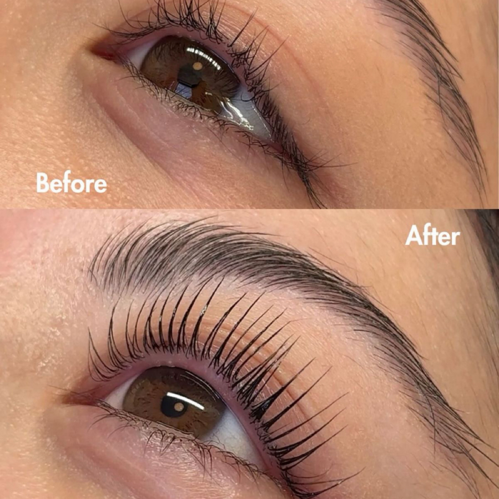 💐Korean Lash & Brow Combo at ReNee Helen Aesthetics & ASH Salon in Rockford, IL