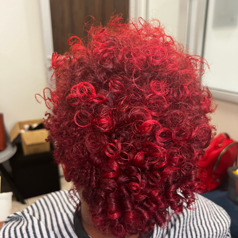 Perm Rod Set at Styles By Angela Renee in Md, MD