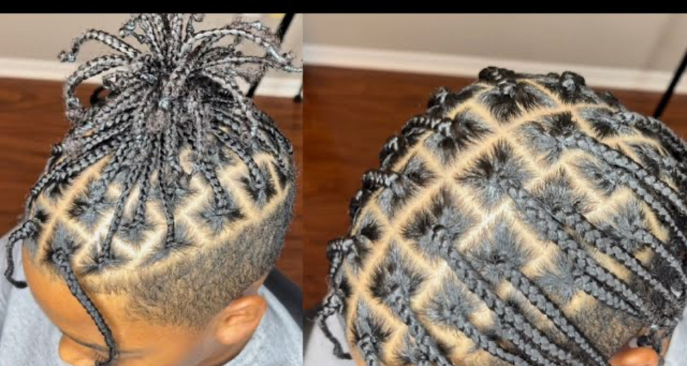 Starter Locs (braids/plaits)