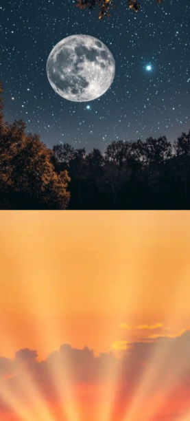 EARLY MORNINGS / AFTER HOURS