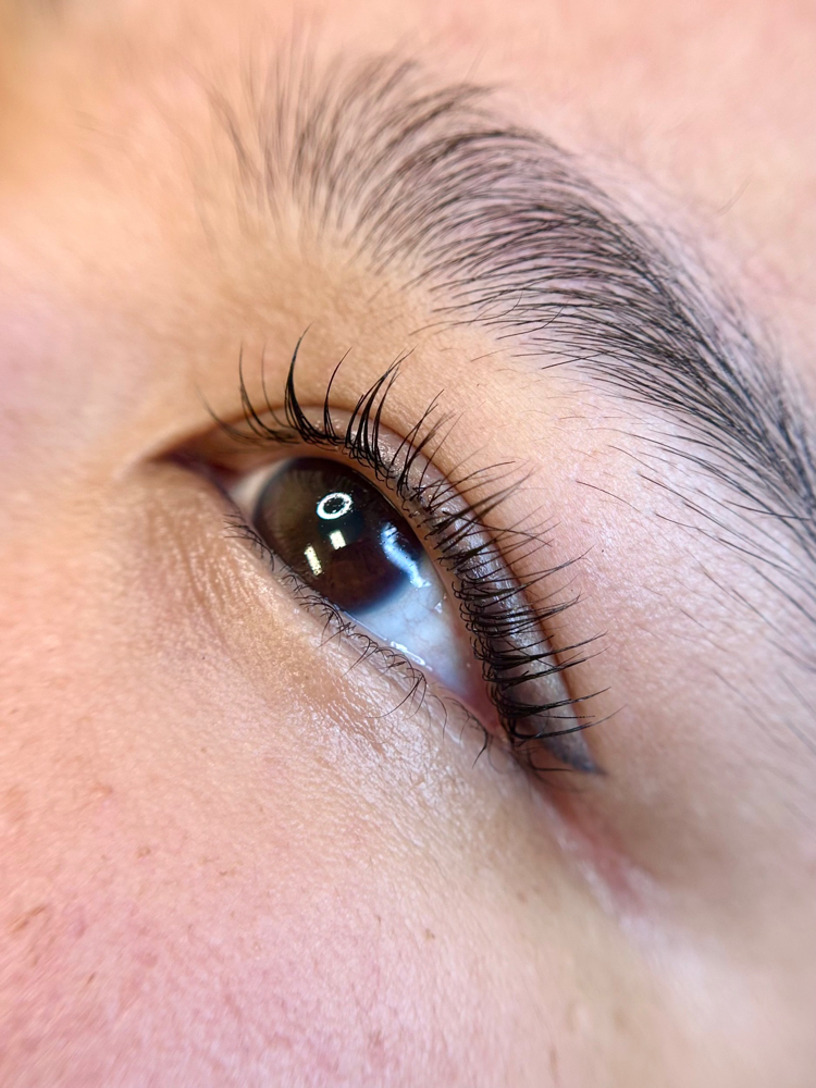 Korean Lash Lift at Adorned Beauty Studio in Columbus, OH