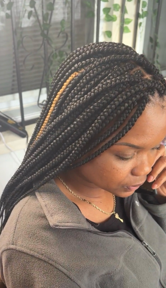 Medium Box Braids at Dani Natasha in Lackwanna, NY